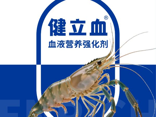 养虾要补血？偷死应激免疫差，原来是因为……