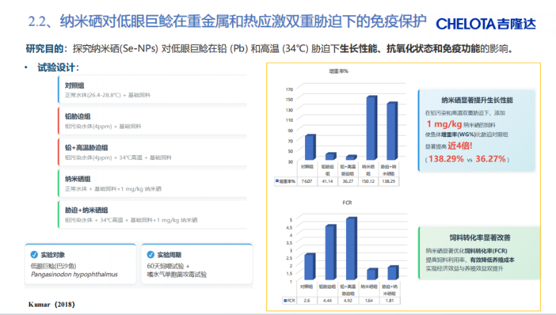 图片9
