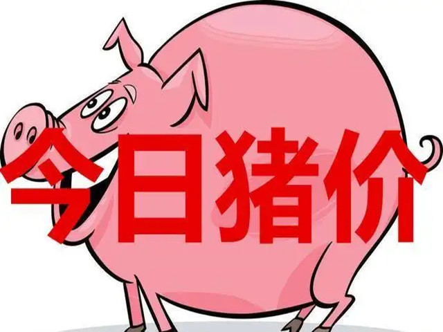 今日猪价 | 2025年12月31日全国猪价行情一览表！
