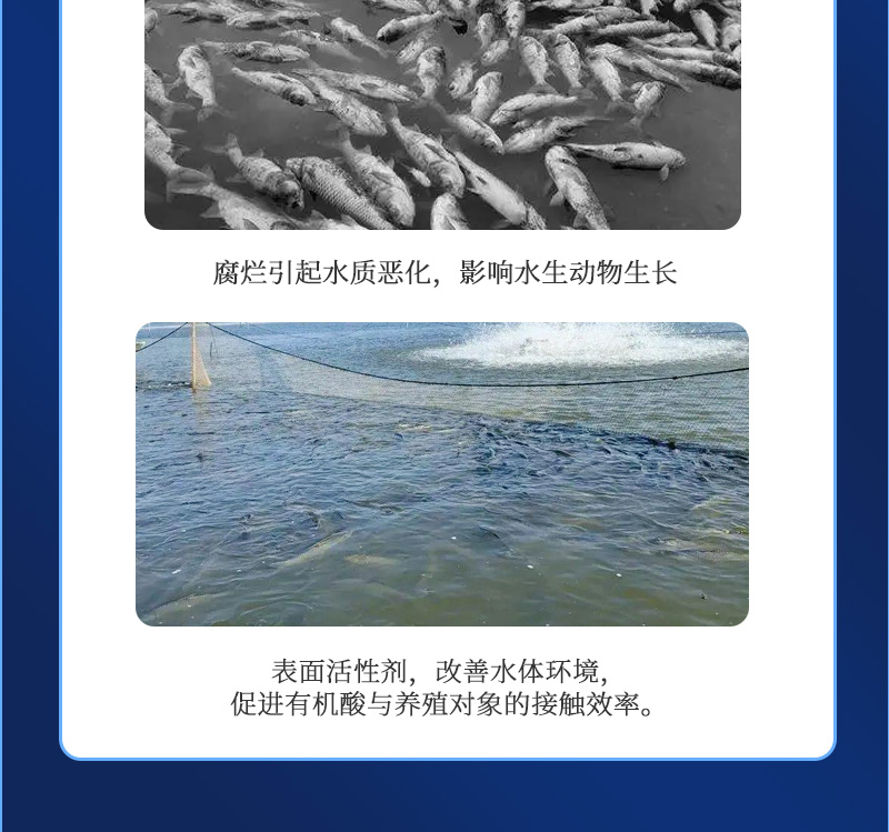 清解360详情_03