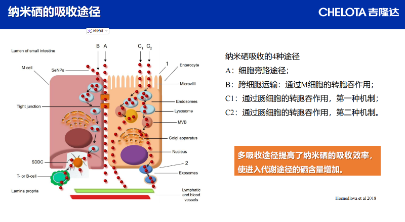 图片5