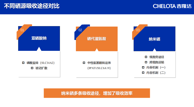 图片6
