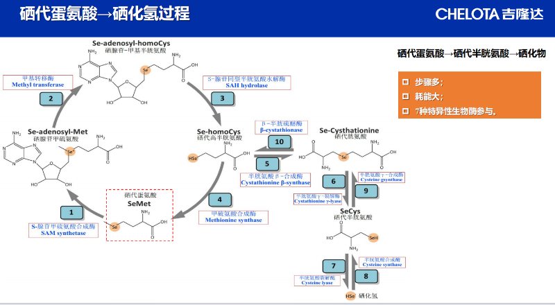 图片8