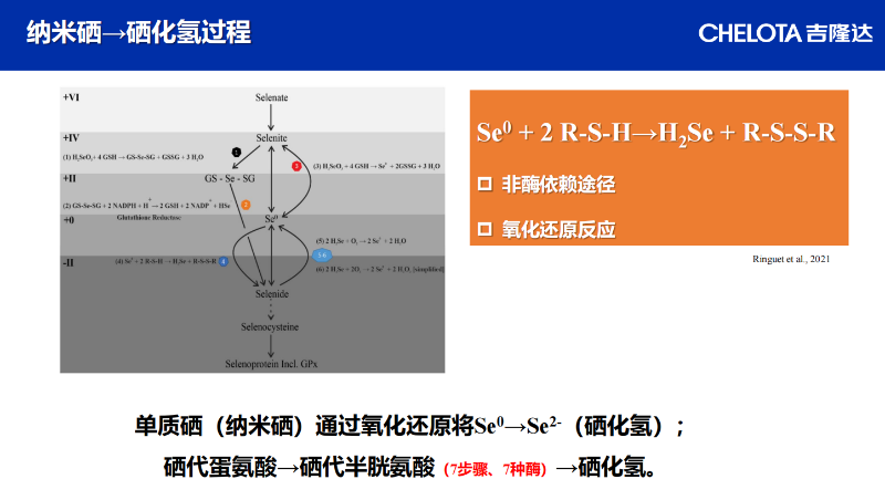 图片9