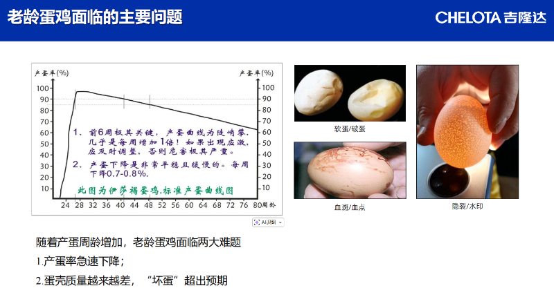 图片12 图片12
