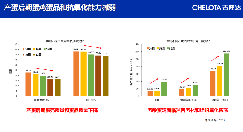 图片13 图片13