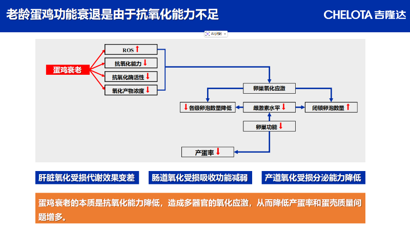 图片14