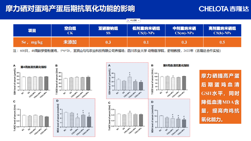 图片15