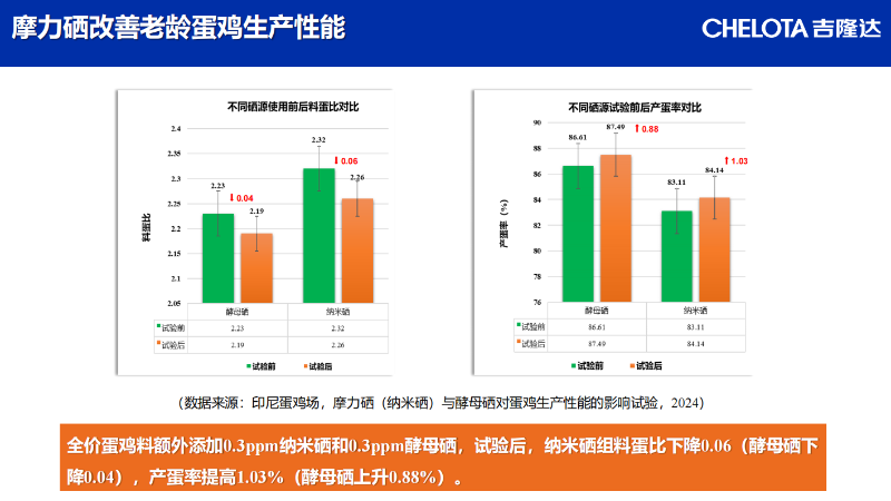 图片17 图片17