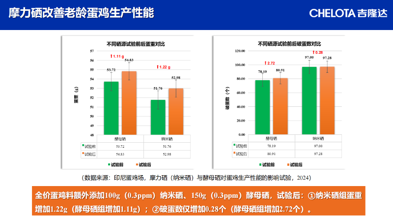 图片18