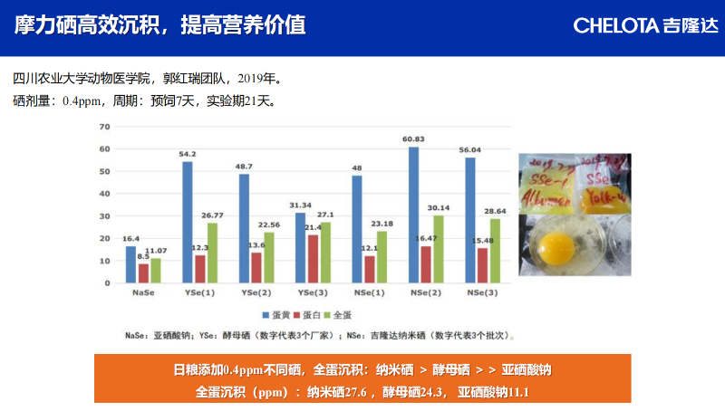 图片24