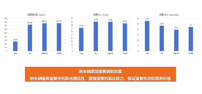 图片25