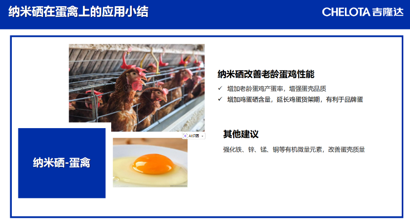 图片27