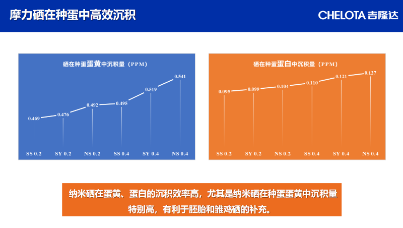图片29