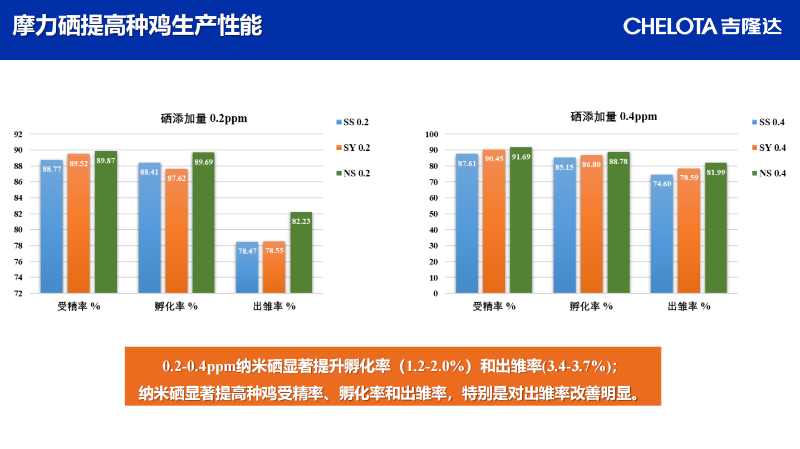 图片30