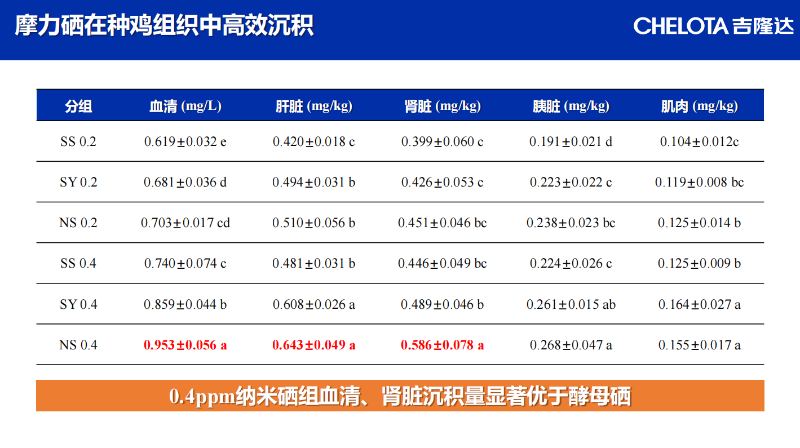 图片31