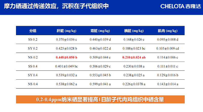 图片32