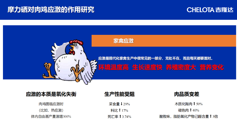 图片36