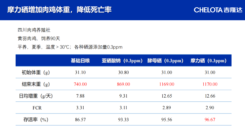 图片38