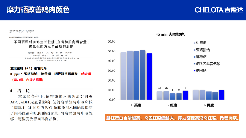 图片40